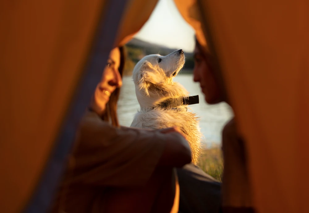 teepee tent to buy