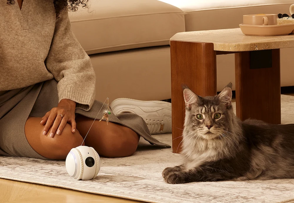 robot camera for pets