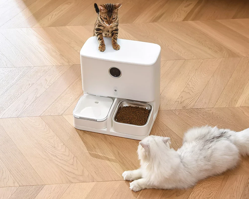 automatic feeder for dogs